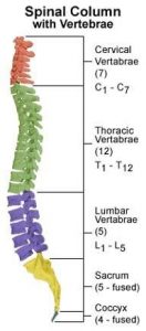 What happens when a person suffers from a neck, spinal cord injury, or paralysis?