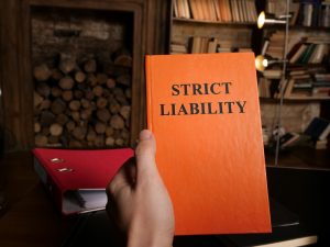 Strict Liability Claims: Who is Really Responsible in New Jersey