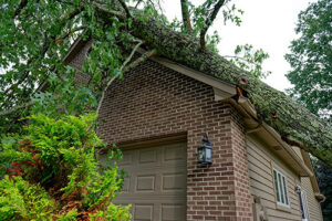 Seeking Compensation from a Neighbor Who Damages Your Property in NJ 